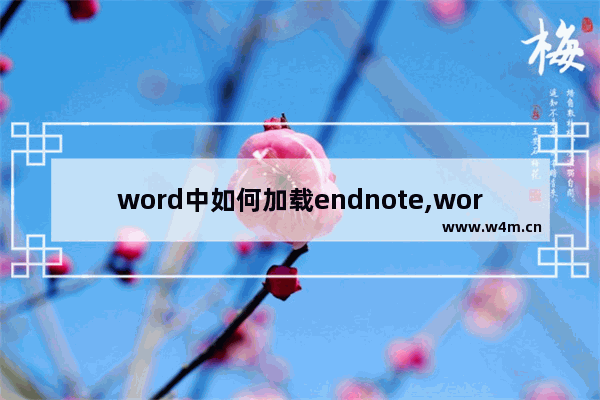 word中如何加载endnote,word中endnote加载项