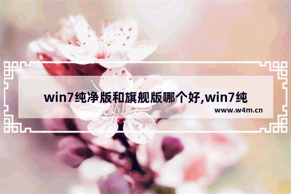 win7纯净版和旗舰版哪个好,win7纯净版好不好