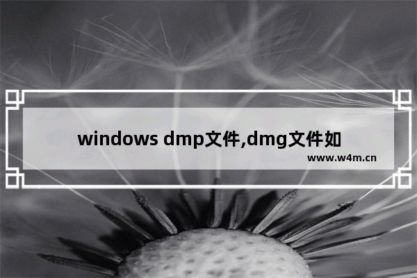 windows dmp文件,dmg文件如何在windows10打开