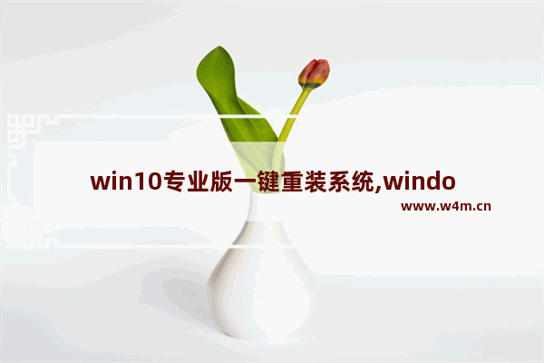 win10专业版一键重装系统,windows10一键安装工具