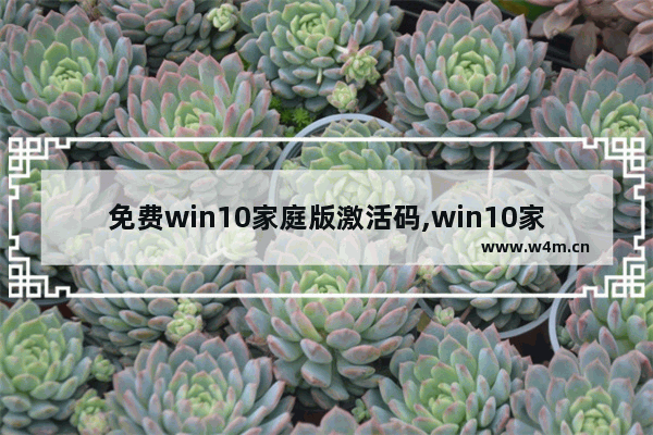 免费win10家庭版激活码,win10家庭版永久激活方法