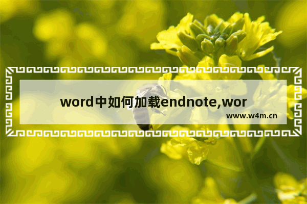 word中如何加载endnote,word中endnote加载项