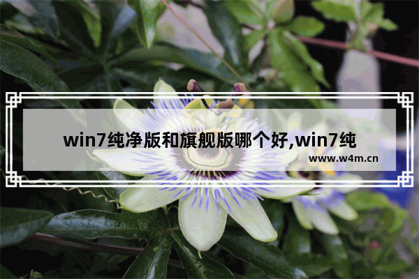 win7纯净版和旗舰版哪个好,win7纯净版好不好