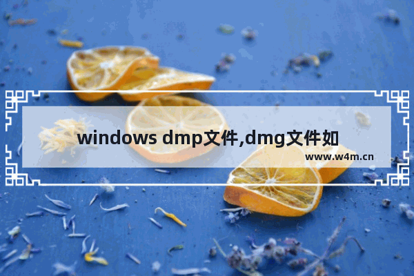 windows dmp文件,dmg文件如何在windows10打开