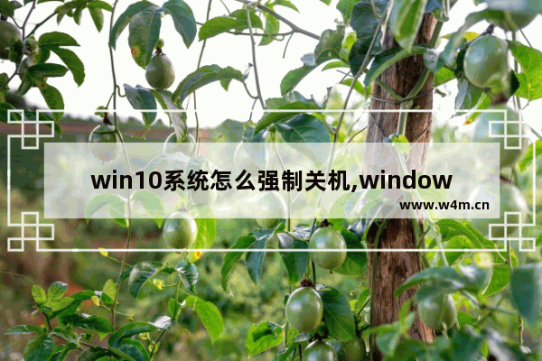 win10系统怎么强制关机,windows11怎么关机