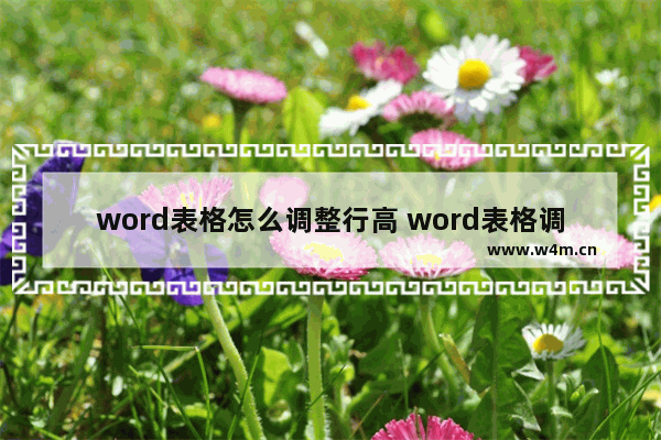 word表格怎么调整行高 word表格调整行高的步骤