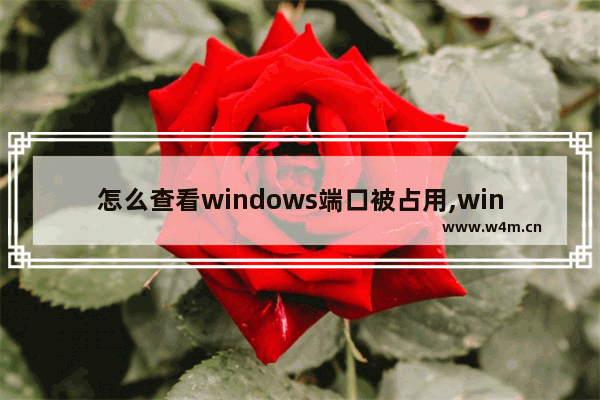 怎么查看windows端口被占用,win10 查看端口占用