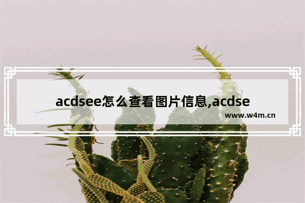 acdsee怎么查看图片信息,acdsee看图软件使用