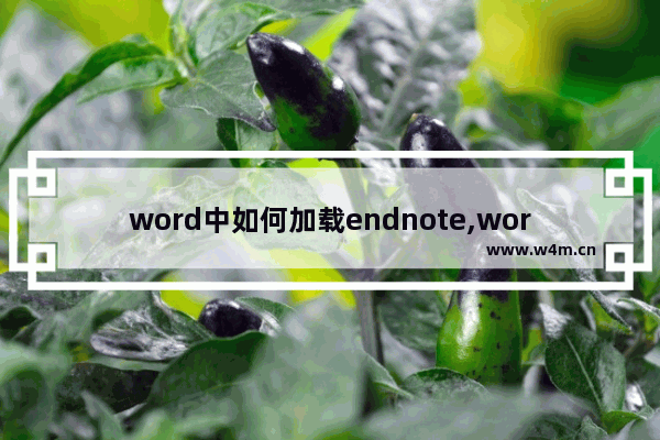 word中如何加载endnote,word中endnote加载项