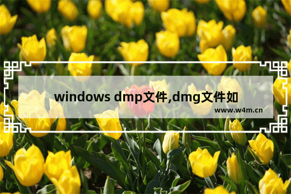 windows dmp文件,dmg文件如何在windows10打开