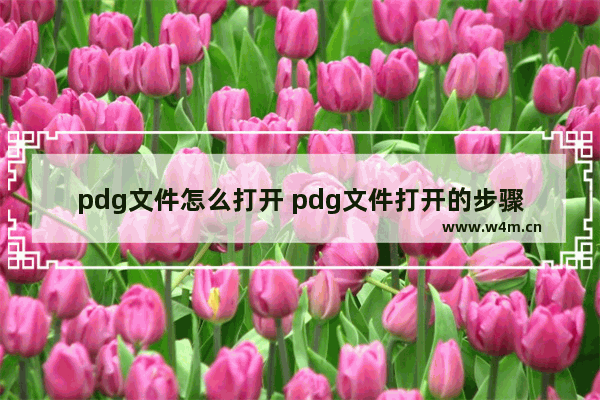 pdg文件怎么打开 pdg文件打开的步骤