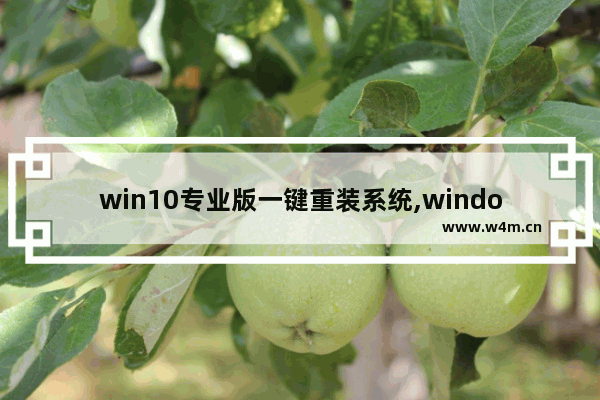 win10专业版一键重装系统,windows10一键安装工具