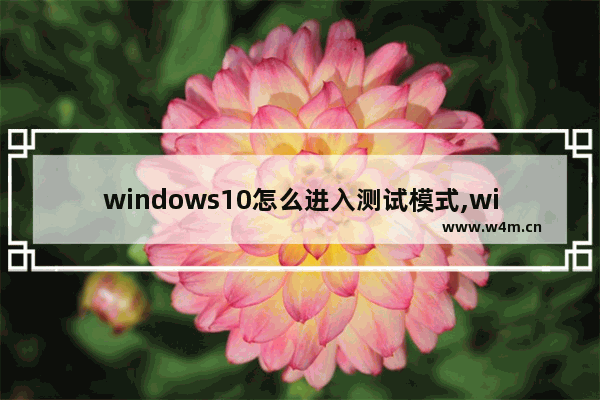 windows10怎么进入测试模式,win10测试模式打不开