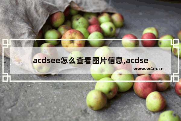 acdsee怎么查看图片信息,acdsee看图软件使用