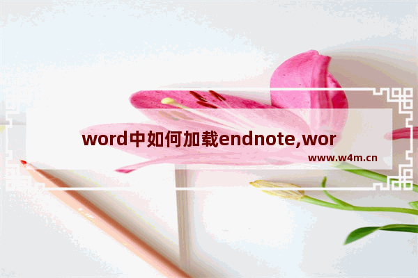 word中如何加载endnote,word中endnote加载项