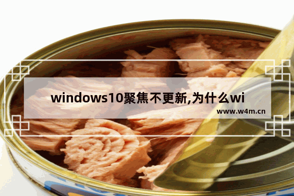 windows10聚焦不更新,为什么windows聚焦无法更新