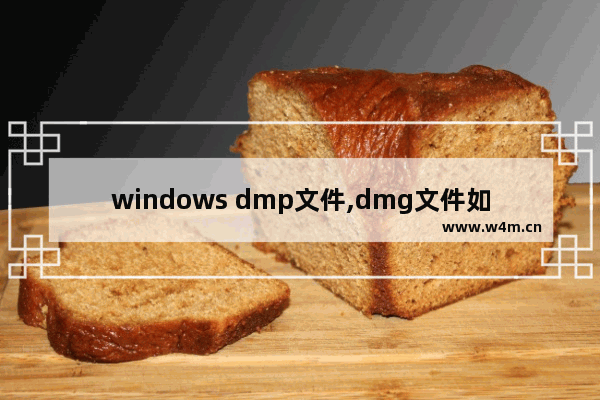 windows dmp文件,dmg文件如何在windows10打开