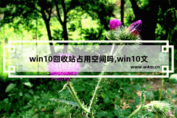 win10回收站占用空间吗,win10文件太大无法放入回收站