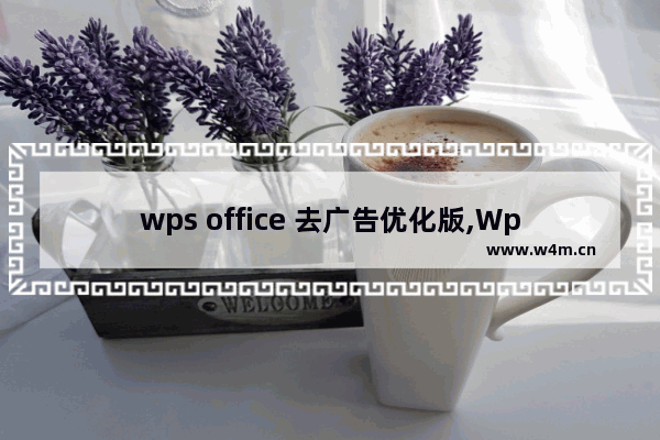 wps office 去广告优化版,Wps去广告