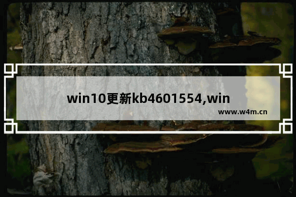 win10更新kb4601554,win10更新KB4601556_1