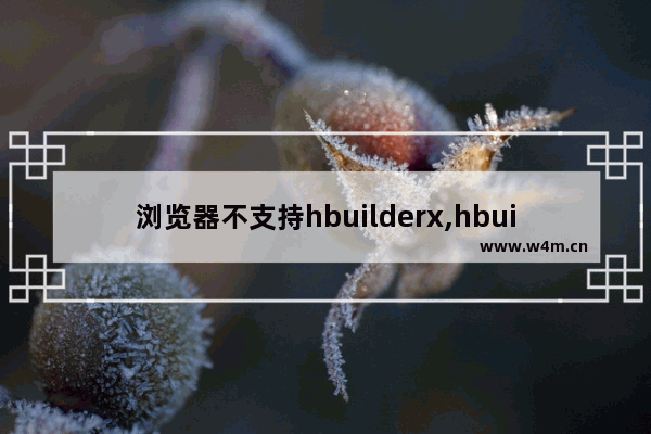 浏览器不支持hbuilderx,hbuilderx怎么运行到本地浏览器