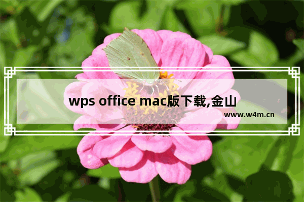 wps office mac版下载,金山软件wps office