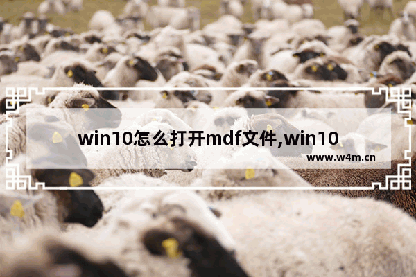 win10怎么打开mdf文件,win10打开mds文件