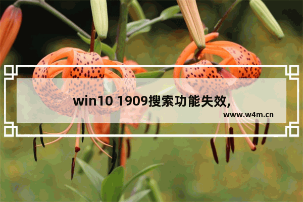 win10 1909搜索功能失效,