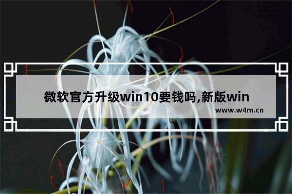 微软官方升级win10要钱吗,新版win10好用吗