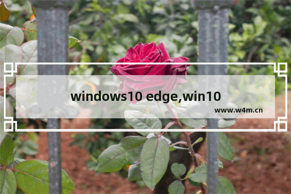 windows10 edge,win10家庭版edge没反应