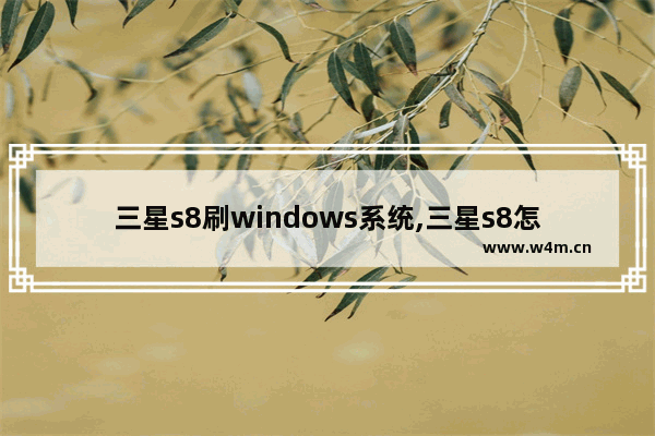 三星s8刷windows系统,三星s8怎么设置程序一直运行