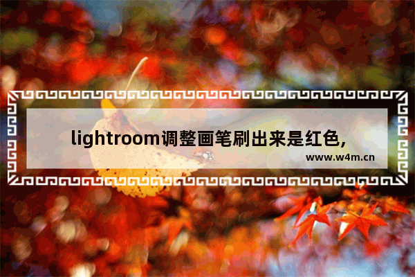 lightroom调整画笔刷出来是红色,lightroom调整画笔没反应