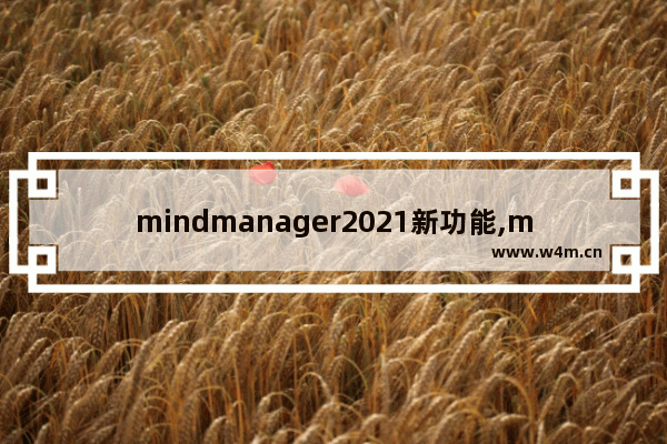 mindmanager2021新功能,mindmanager2020怎么设置中文