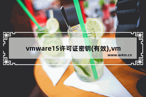 vmware15许可证密钥(有效),vmware14虚拟机许可证密钥