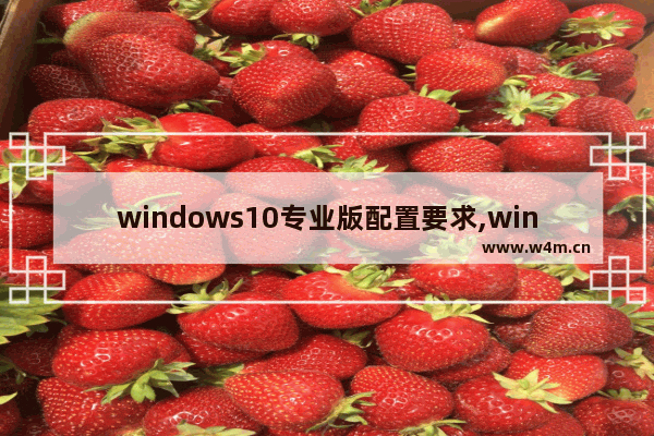 windows10专业版配置要求,win10设置中没有数据使用量