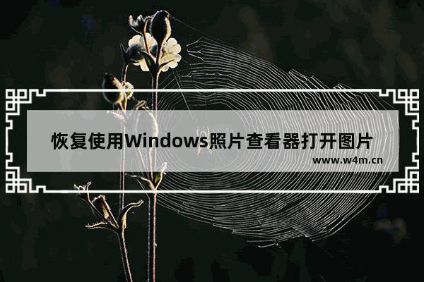 恢复使用Windows照片查看器打开图片,win10恢复win7图片查看器