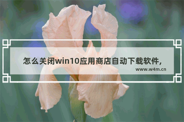 怎么关闭win10应用商店自动下载软件,win10自带应用商店下载不了