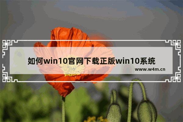 如何win10官网下载正版win10系统,win10系统下载官网