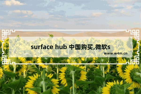 surface hub 中国购买,微软surface hub2