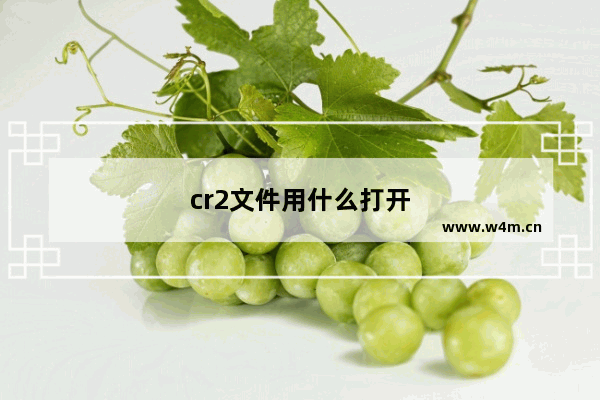 cr2文件用什么打开