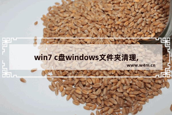 win7 c盘windows文件夹清理,win7旗舰如何彻底清理c盘