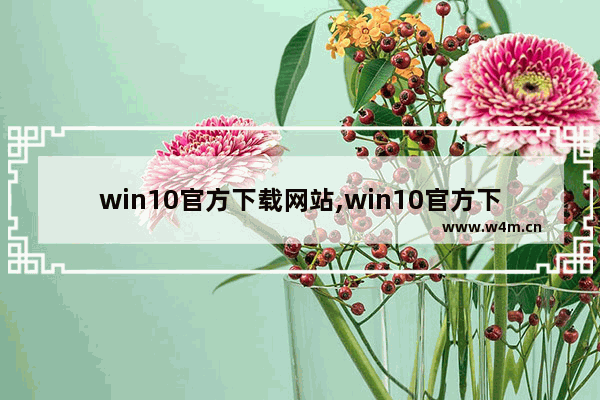 win10官方下载网站,win10官方下载工具地址