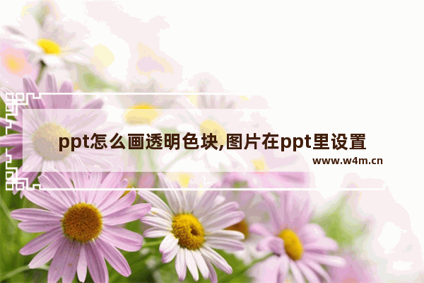 ppt怎么画透明色块,图片在ppt里设置透明色