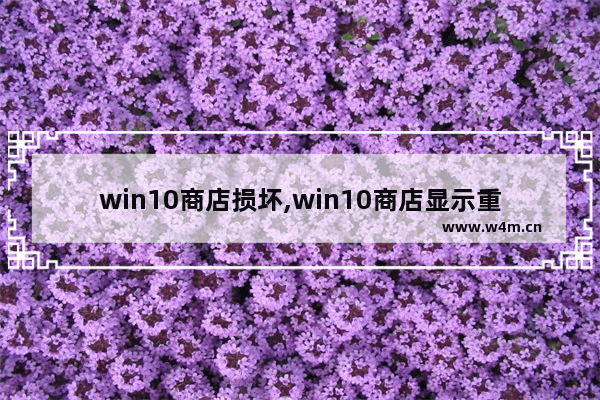 win10商店损坏,win10商店显示重试该操作,我们这边出现了一些问题