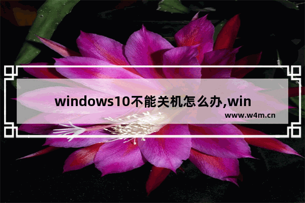 windows10不能关机怎么办,win10无法正常关机怎么办