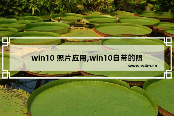 win10 照片应用,win10自带的照片应用