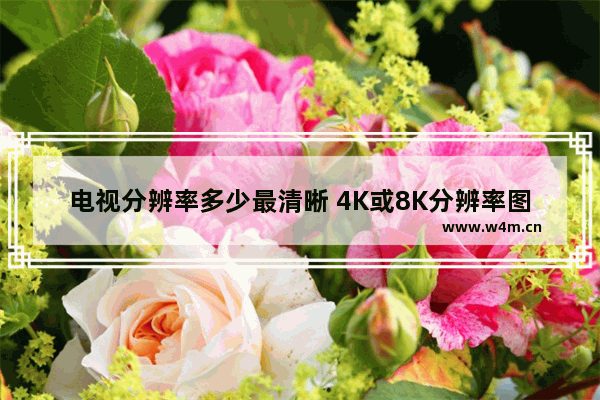 电视分辨率多少最清晰 4K或8K分辨率图像质量更加清晰