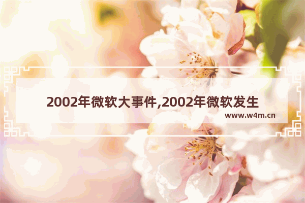 2002年微软大事件,2002年微软发生了什么