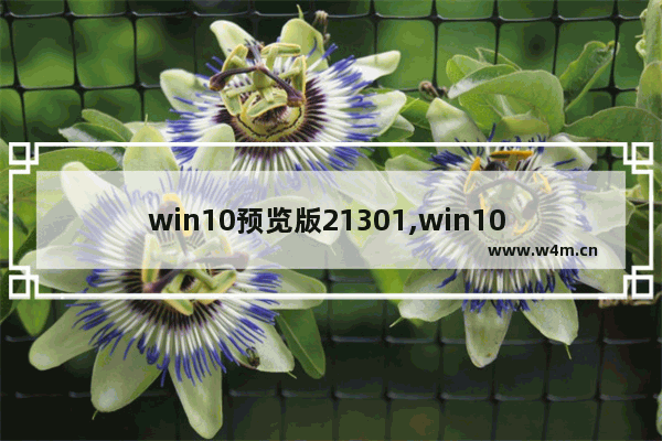 win10预览版21301,win10 1903新功能