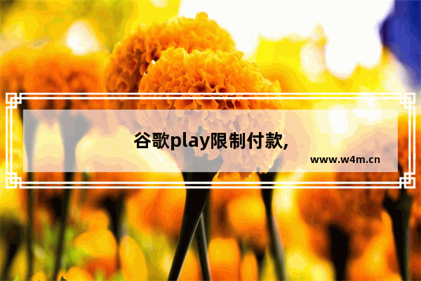 谷歌play限制付款,